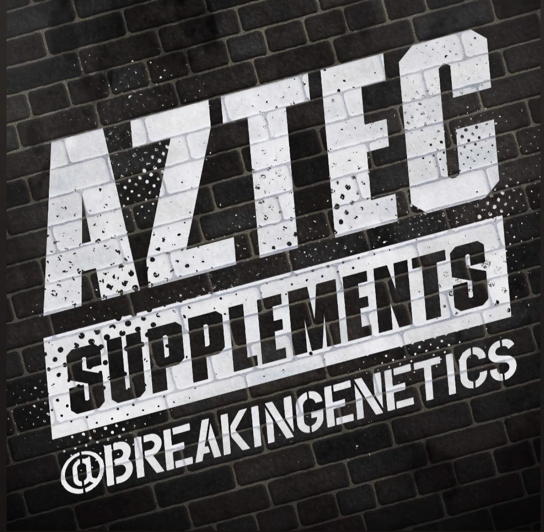 Aztec Coaching 1 Hour Video-Consultation